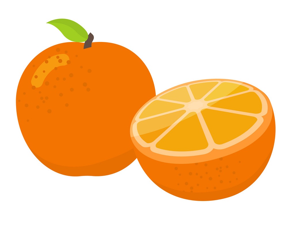 オレンジとオレンジの半分のイラスト イラスト