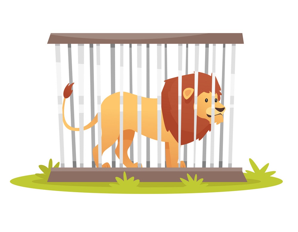 檻に入ったライオンのイラスト イラスト