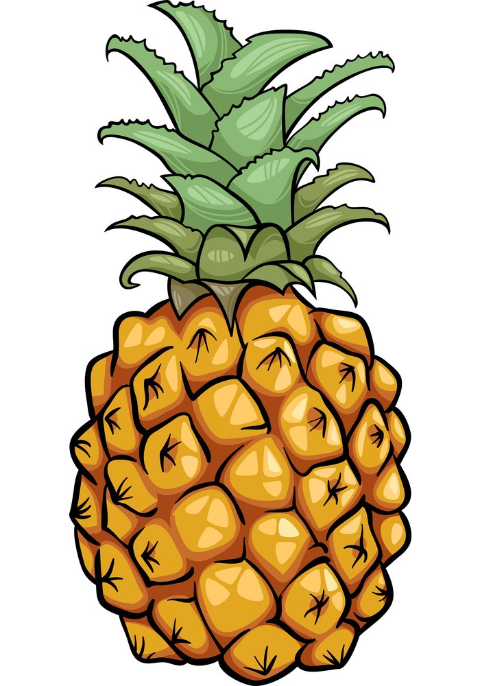 パイナップルの果実のイラスト イラスト