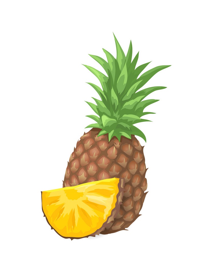 パイナップルのトロピカルフルーツのイラスト イラスト