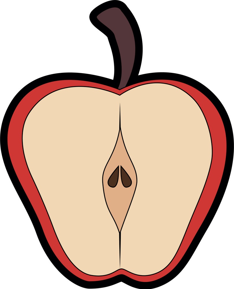 リンゴ半分のイラスト イラスト