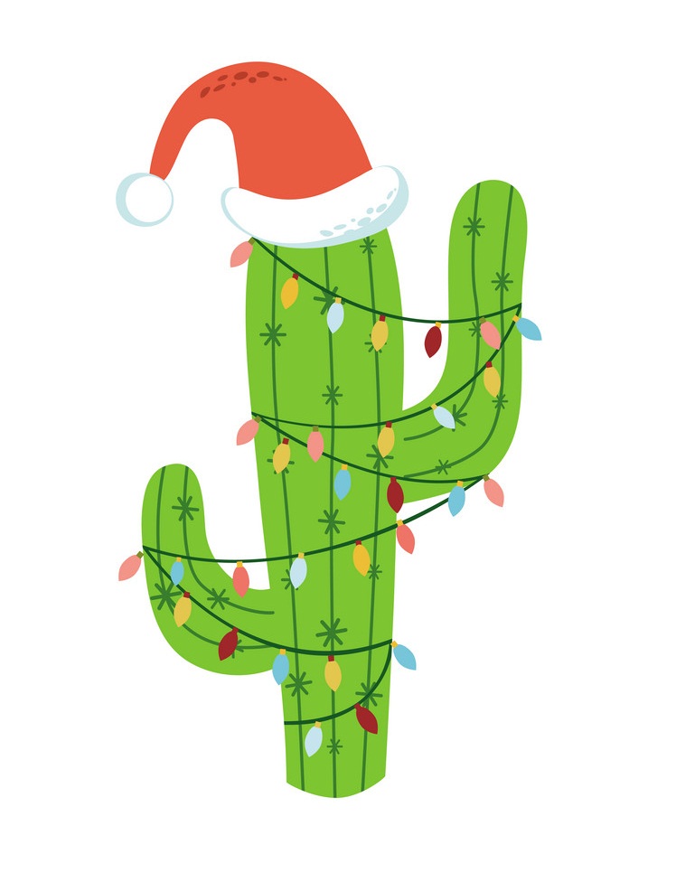 サンタ帽子のクリスマス サボテンのイラスト イラスト