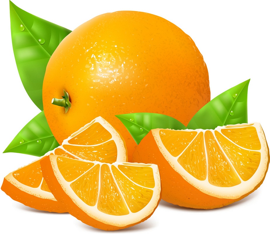 新鮮な熟したオレンジのイラスト