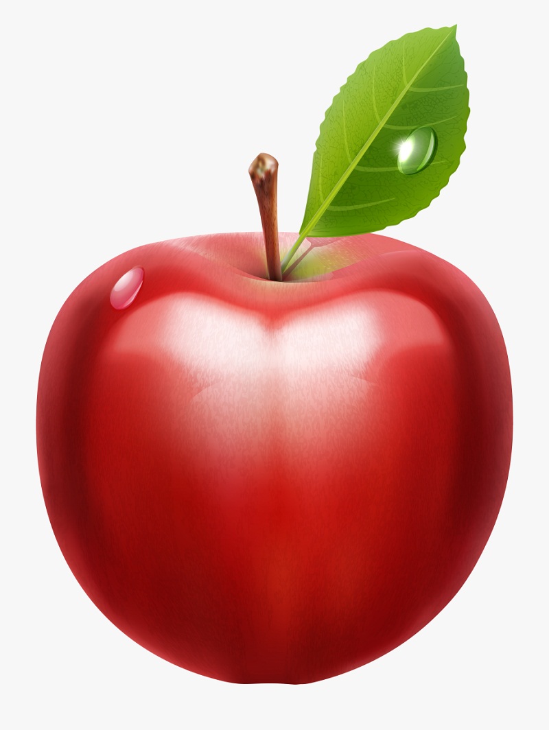 新鮮なリンゴのイラスト イラスト