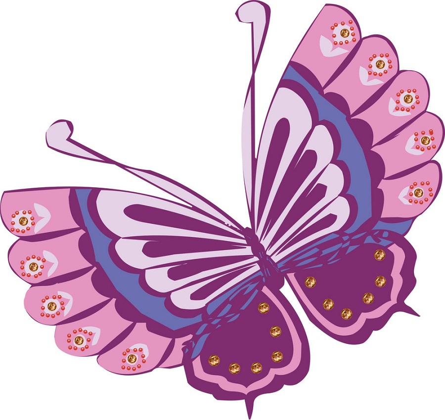 美しい蝶のイラスト イラスト
