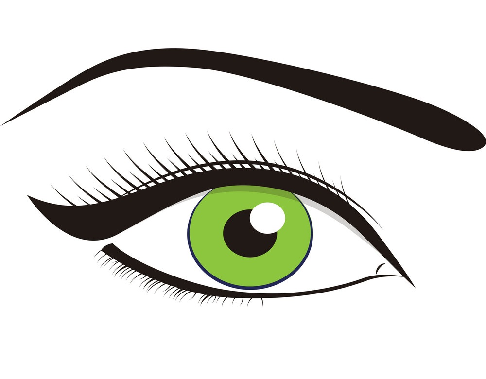 美しい緑の目のイラスト イラスト