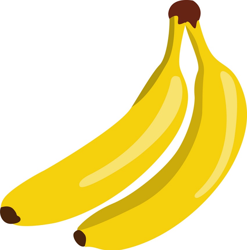 2 本のバナナのイラスト イラスト