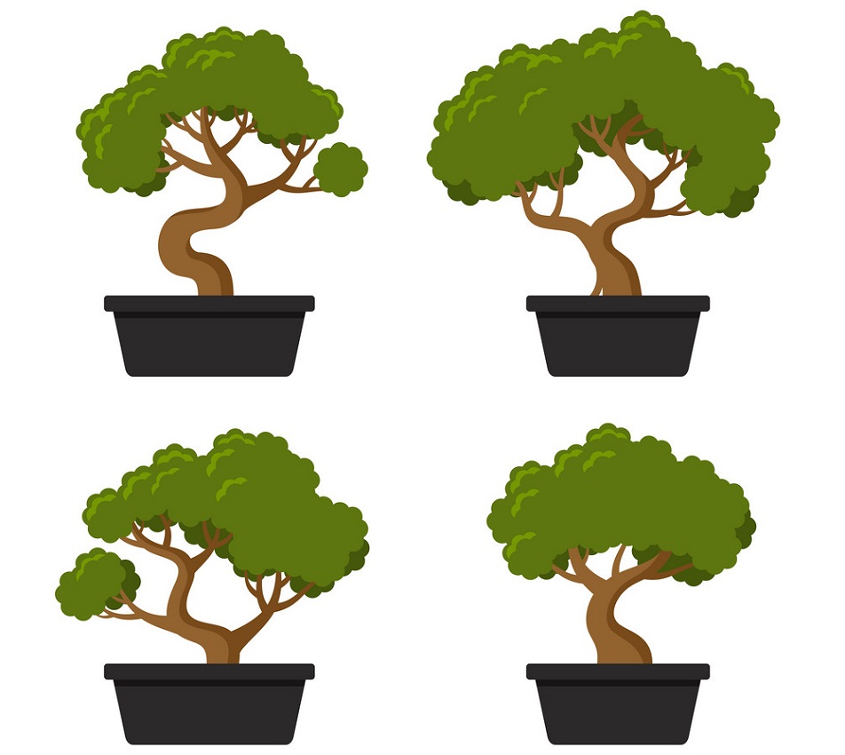 4本の盆栽の木のイラスト