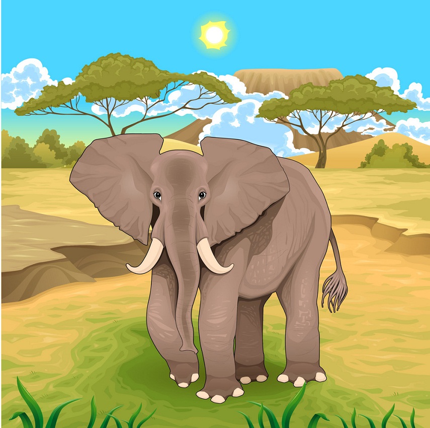 アフリカの野生の象のイラスト イラスト