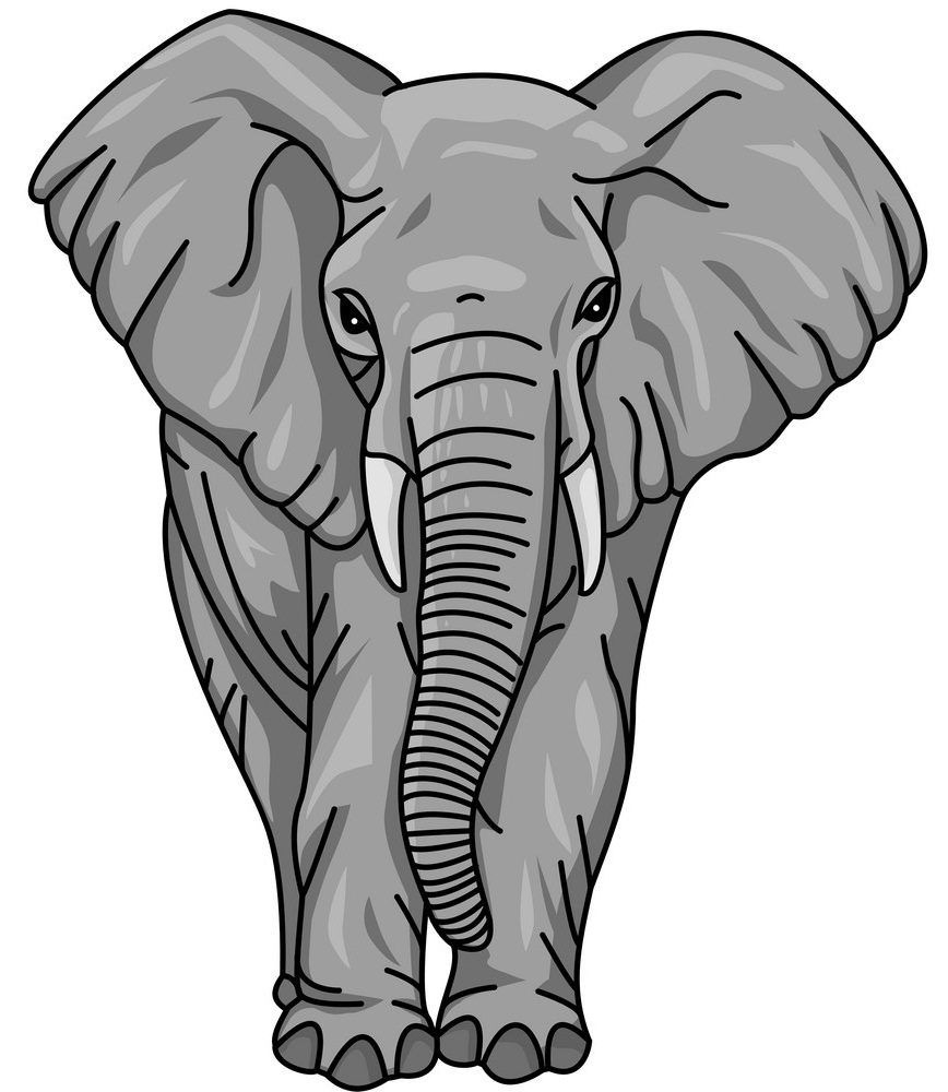 アフリカ象のイラスト イラスト