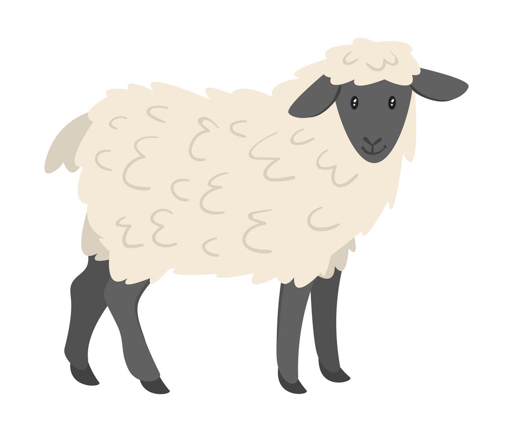 愛らしい羊のイラスト イラスト
