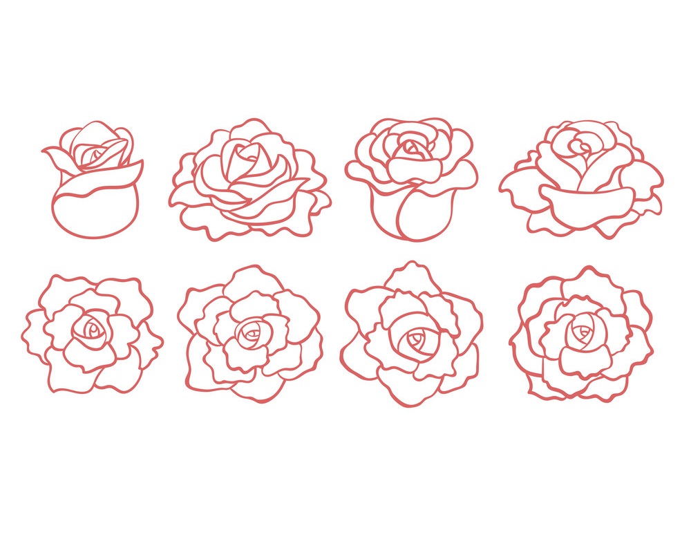 赤いバラの概要のイラストセット