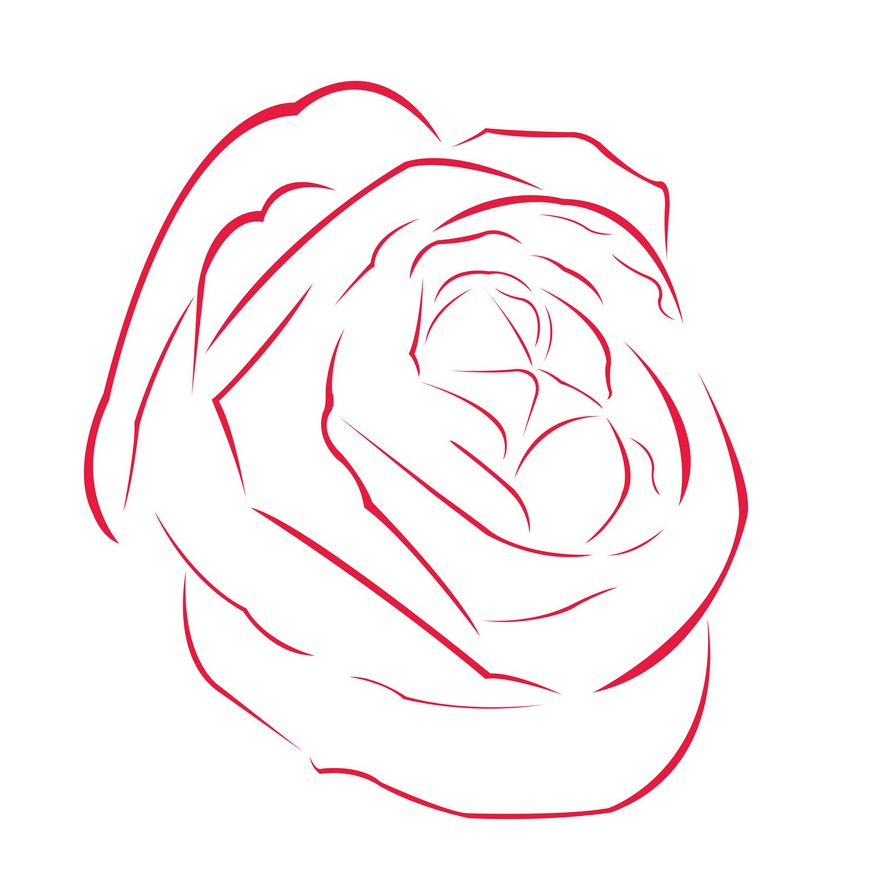 赤いバラの輪郭をイラストします