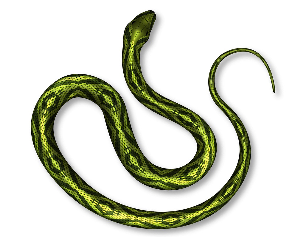 明るい色の毒蛇のイラスト イラスト