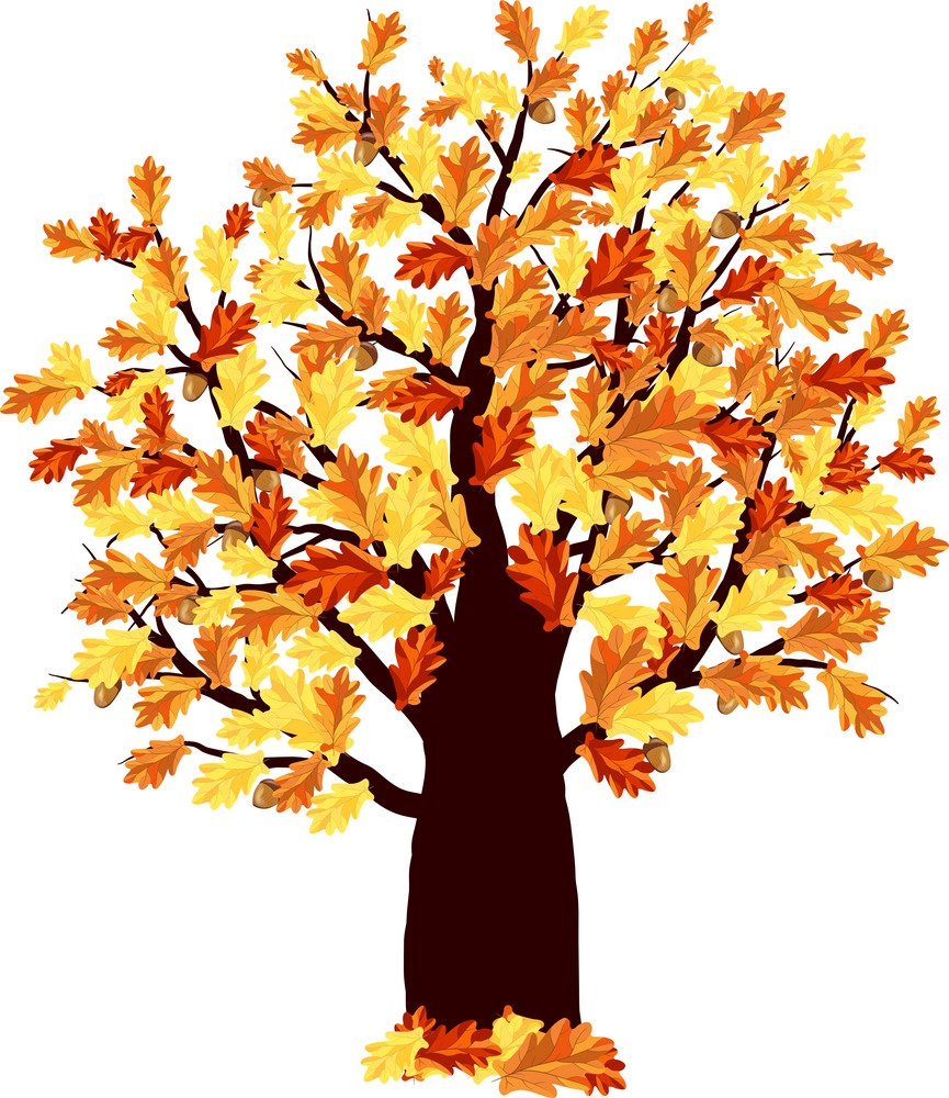 秋の樫の木のイラスト イラスト