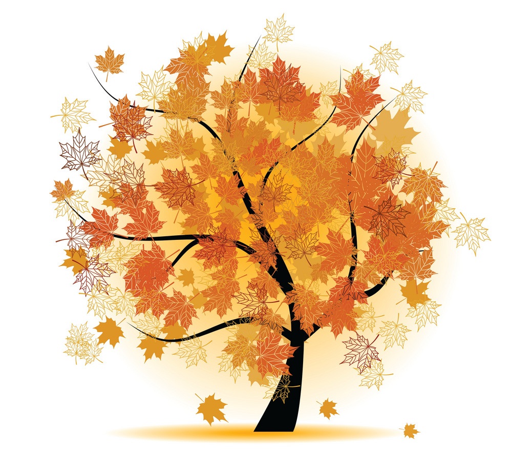 秋の木のイラスト 1