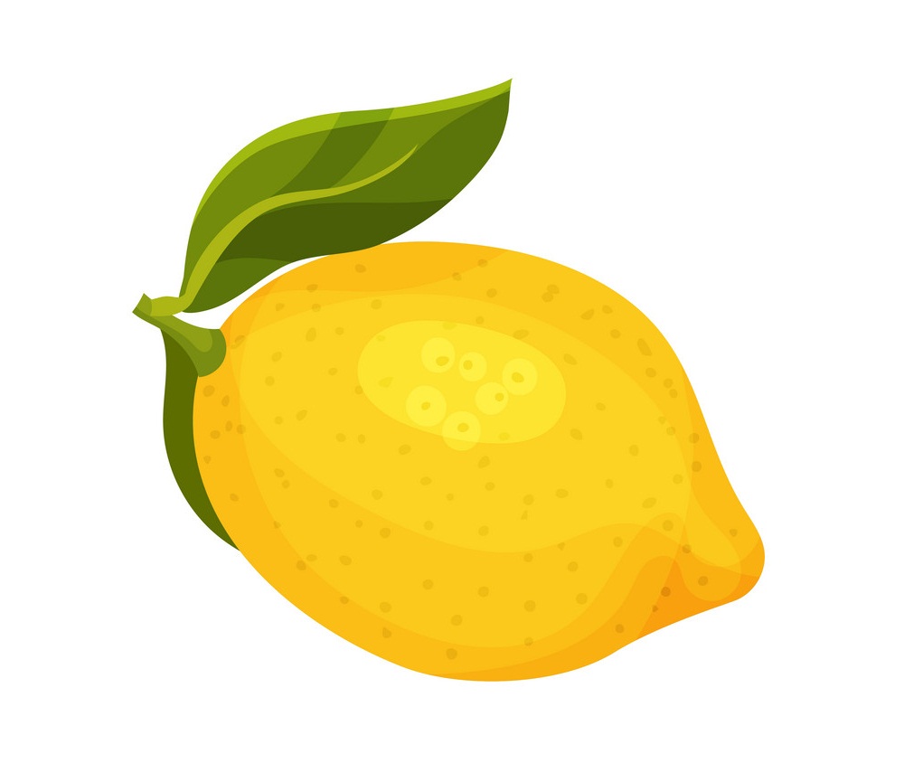 鮮やかな黄色のレモンのイラスト イラスト
