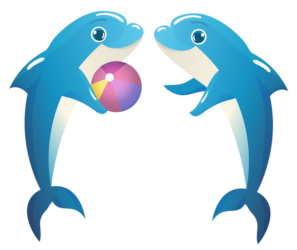 ボールで遊ぶ 2 頭のイルカのイラスト イラスト