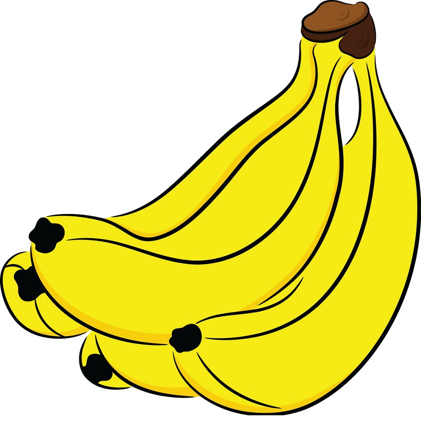 バナナの束のイラスト イラスト