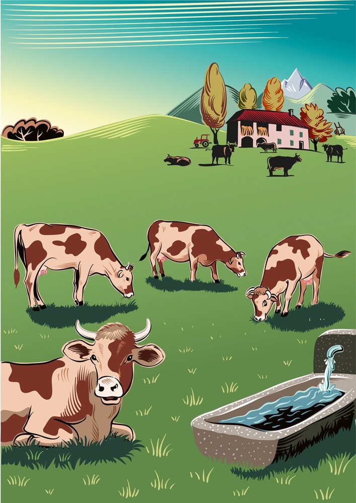 牧草地で放牧する牛のイラスト イラスト