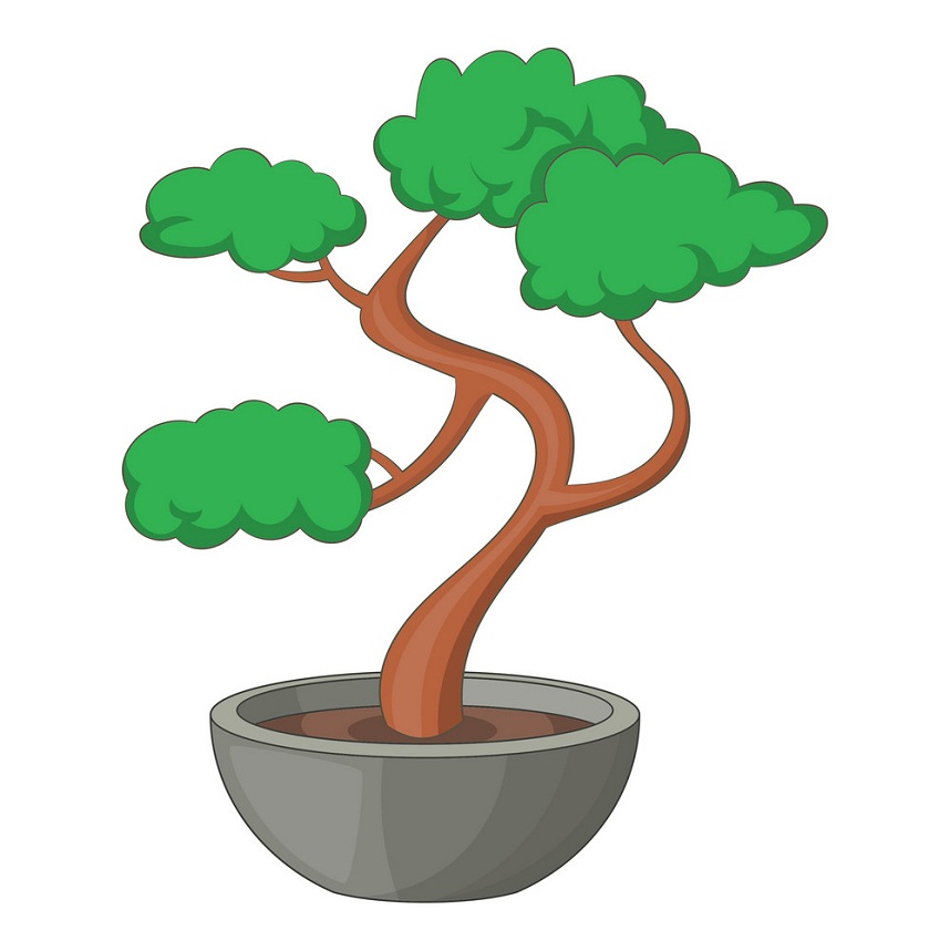 盆栽の木のイラスト 4