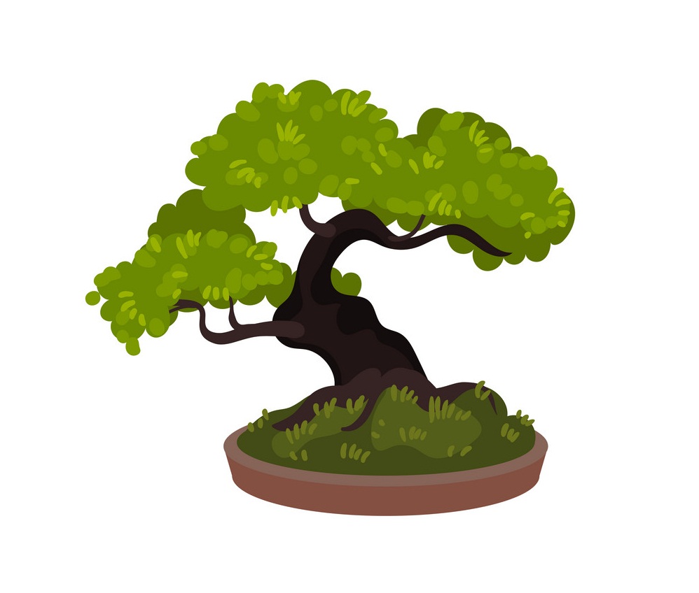 盆栽の木のイラスト 5