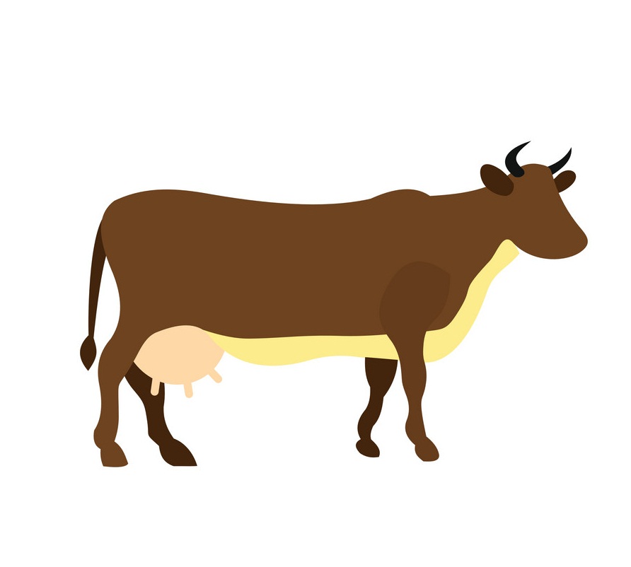 茶色の牛のアイコン イラスト イラスト