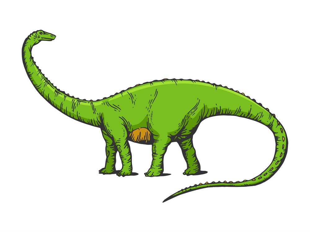 ディプロドクス恐竜 1 イラスト イラスト