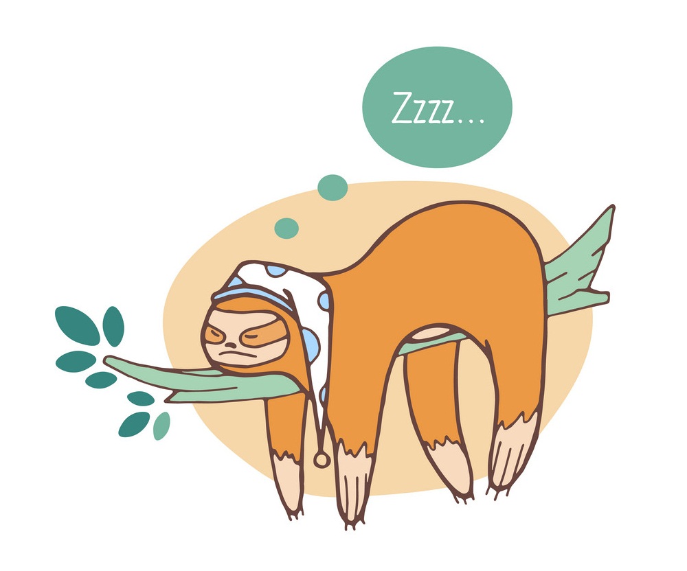 枝で寝ている怠惰なナマケモノのイラスト イラスト