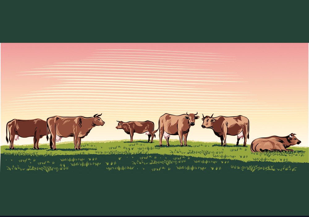 風景と放牧する牛のイラスト イラスト