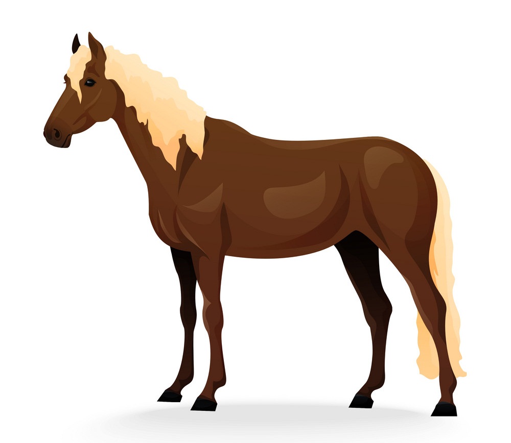 現実的な茶色の馬のイラスト