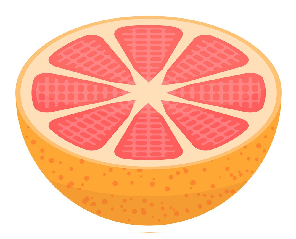 グレープフルーツアイコンアイソメ図スタイルの半分のイラスト イラスト