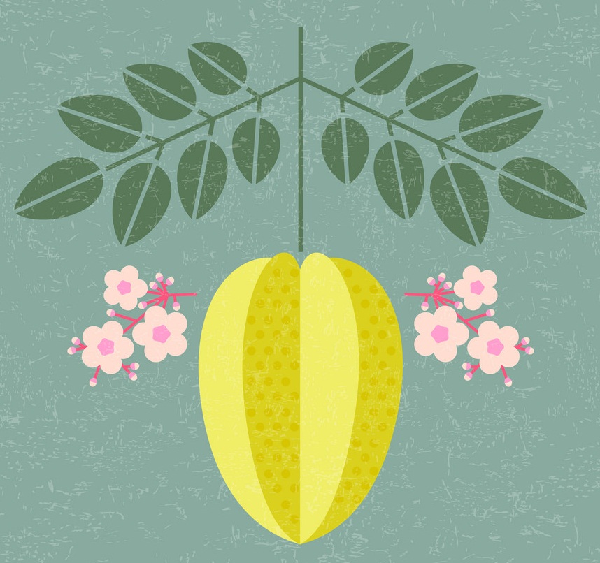 葉と花を持つゴレンシのアイコンのイラスト イラスト