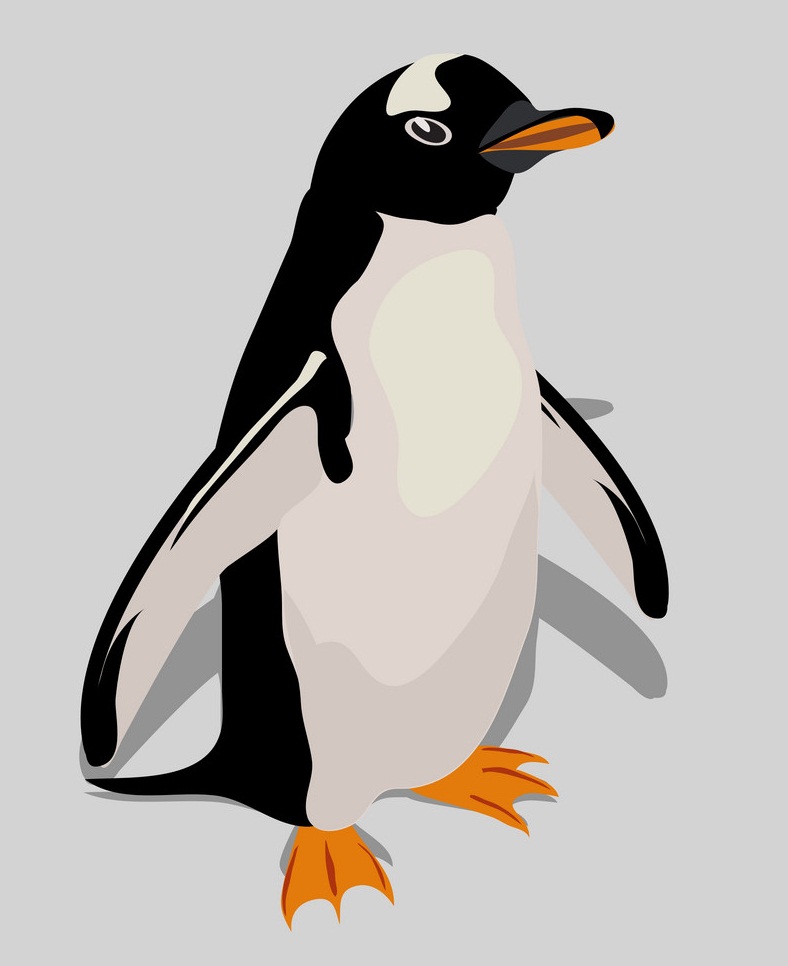 灰色の背景のイラストのペンギン イラスト