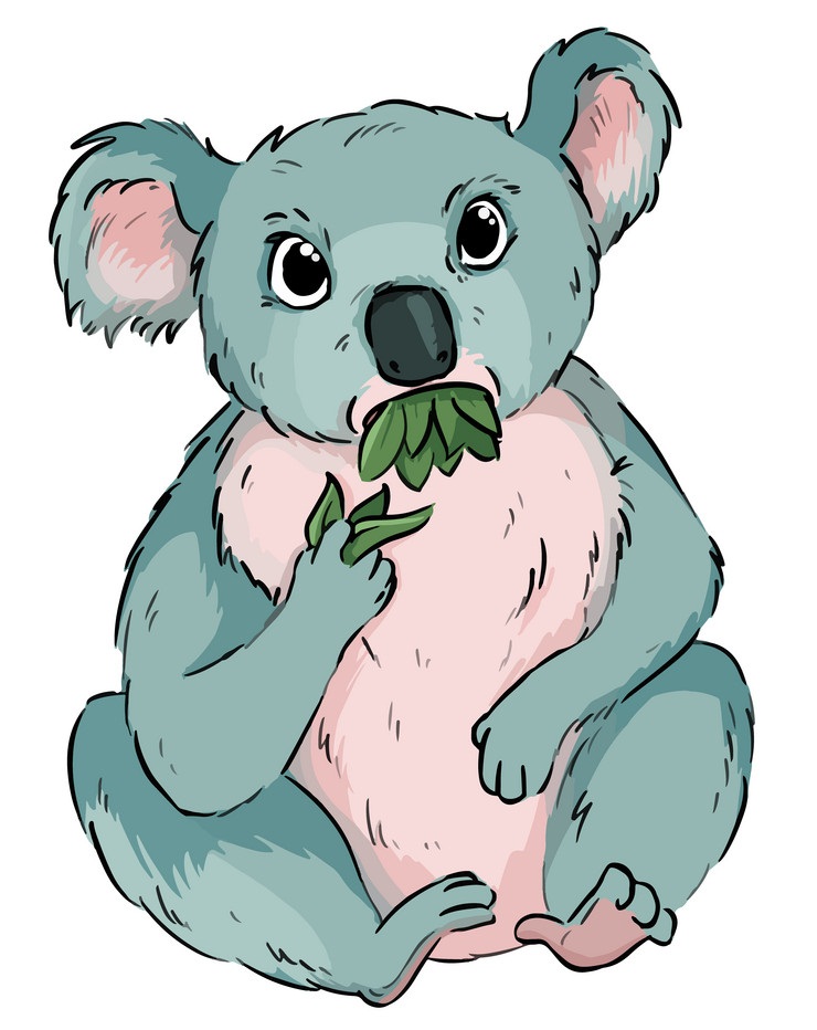 葉っぱを食べるコアラのイラスト