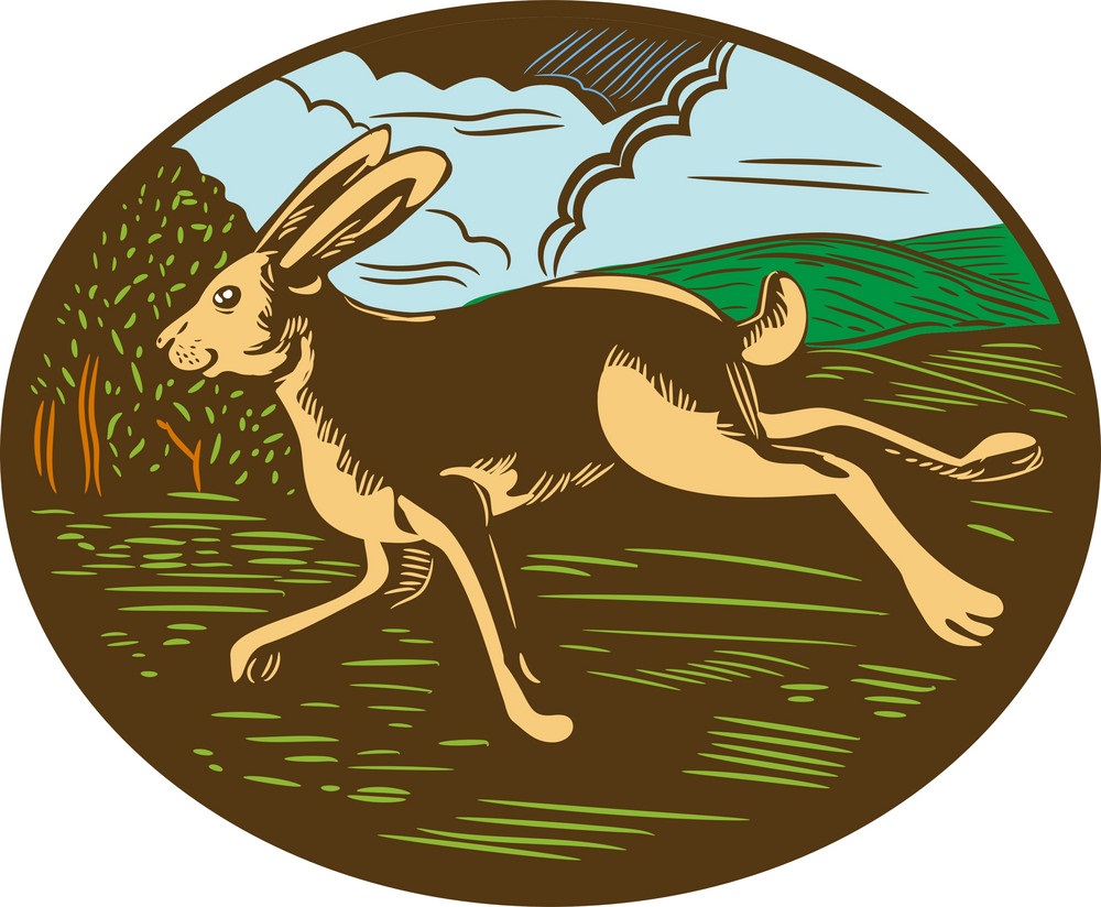 走っている野生のウサギのイラスト イラスト