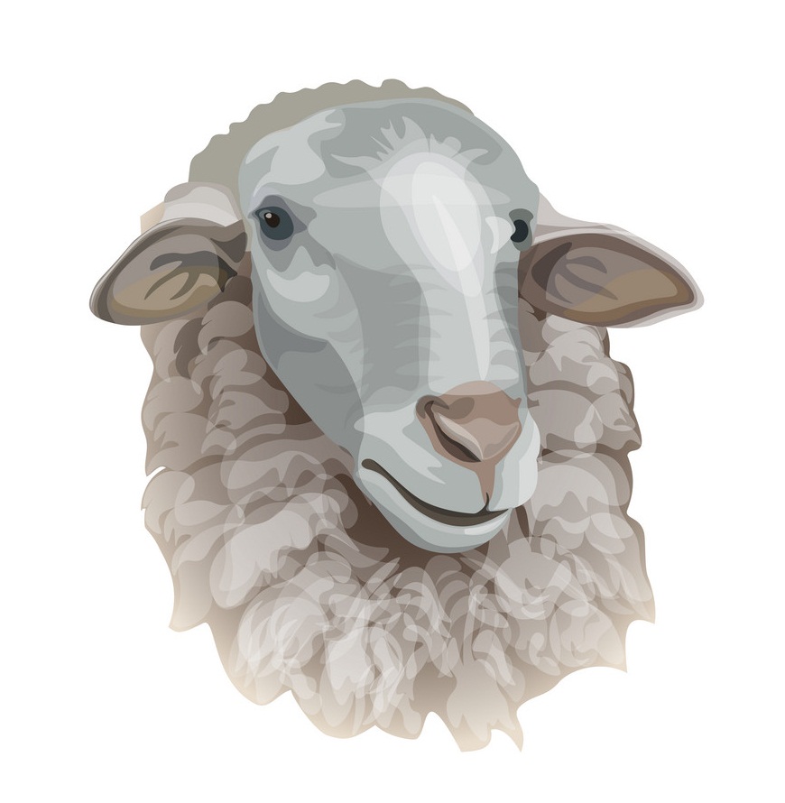 羊の頭の肖像画イラスト イラスト