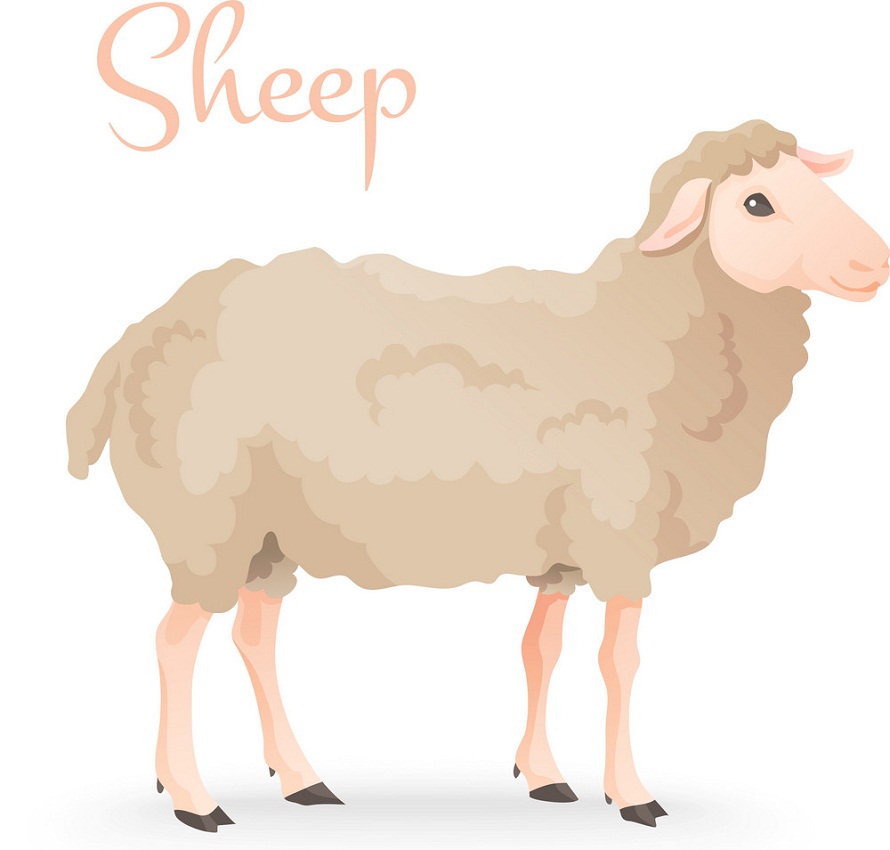 羊のイラスト イラスト