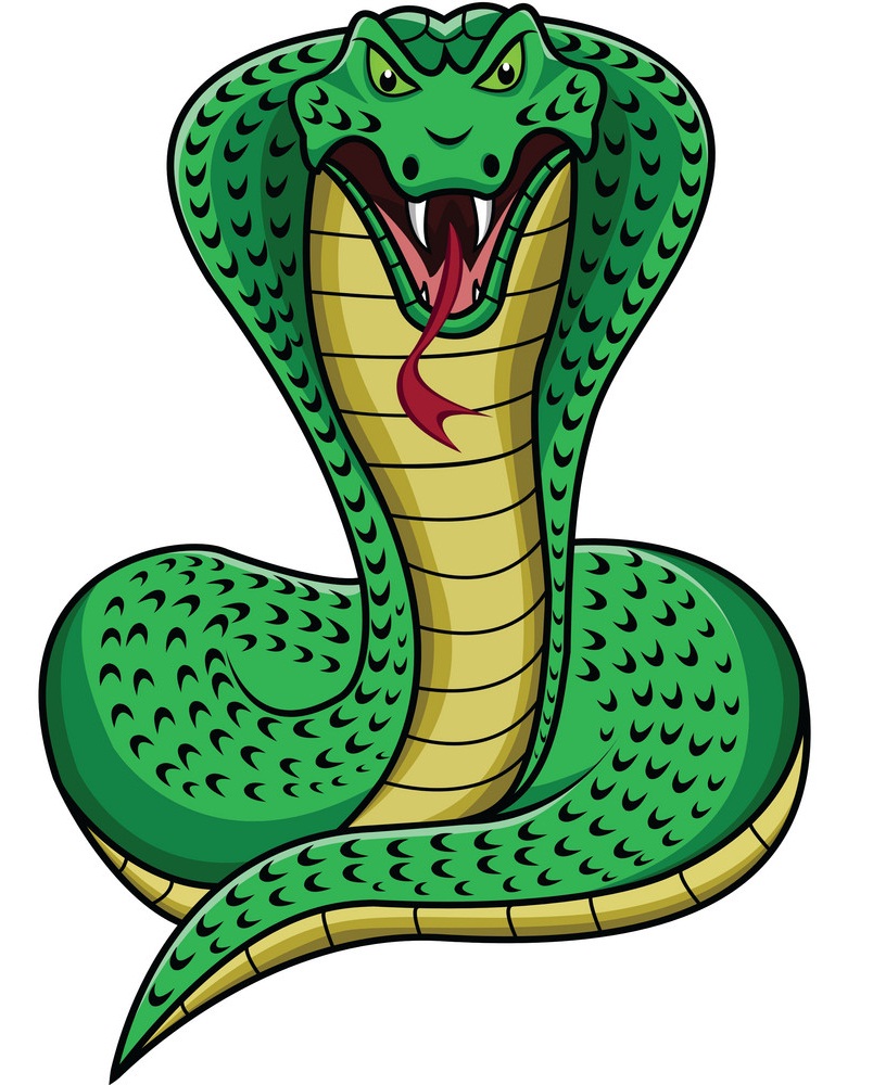 怒っているコブラヘビのイラスト イラスト