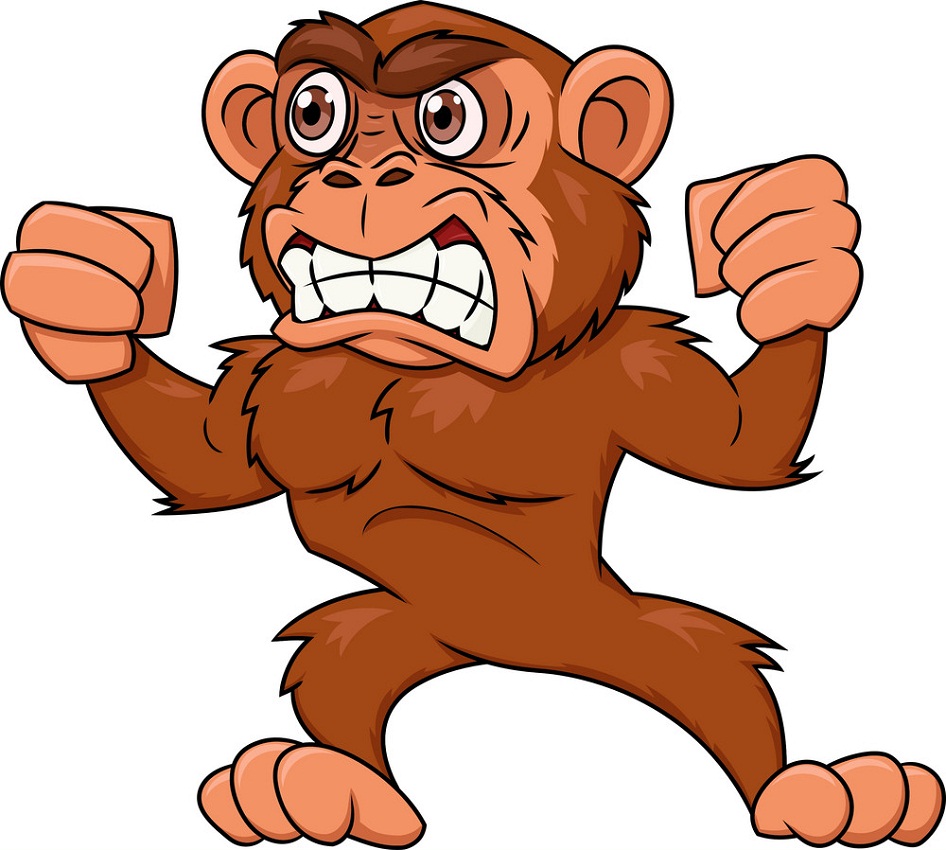 怒っている猿のイラスト イラスト