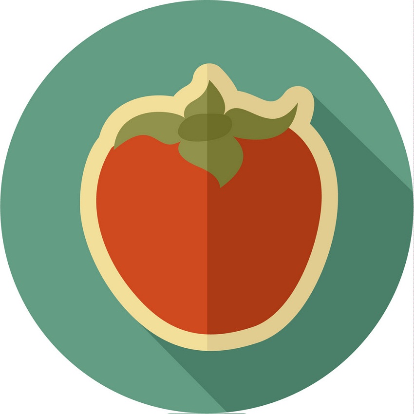 イラスト柿のロゴ イラスト