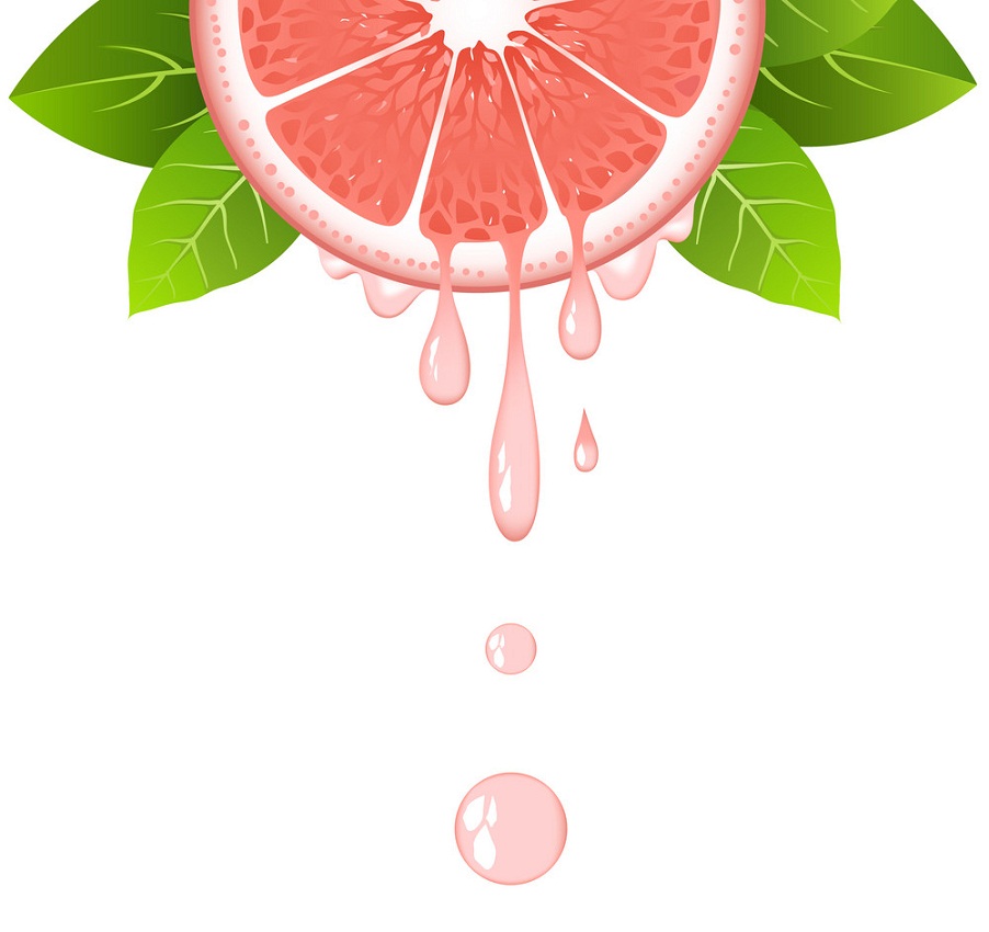 ジュースの滴が付いたグレープ フルーツ スライスのイラスト イラスト