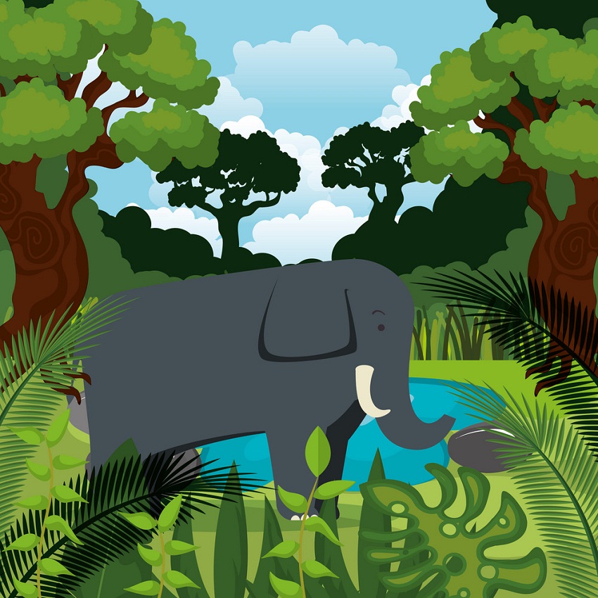 ジャングルの中で野生の象のイラスト イラスト