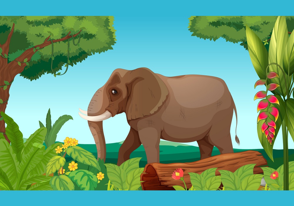 ジャングルの中の象のイラスト
