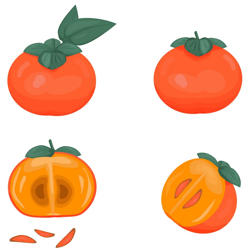 熟した柿のイラストセット イラスト
