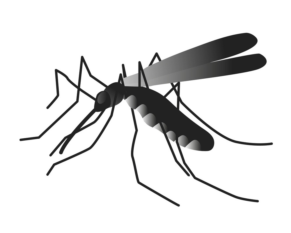 蚊のアイコン イラスト イラスト