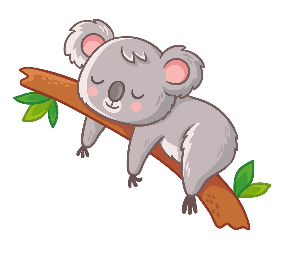 木の枝で寝ているかわいいコアラのイラスト