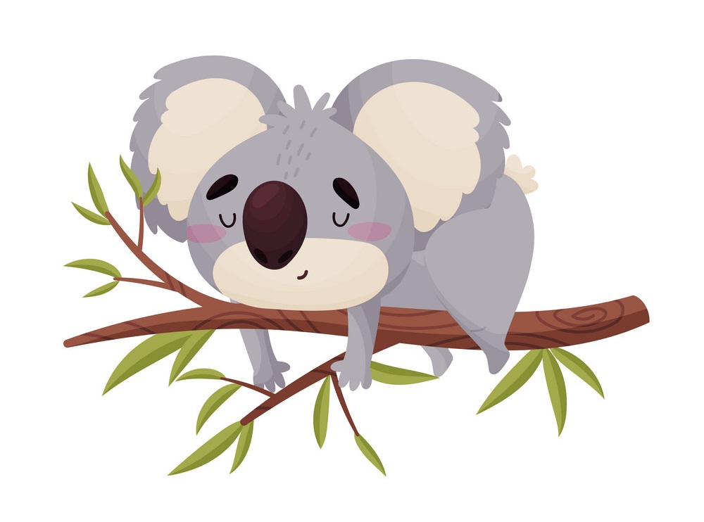 木の枝で寝ている素敵なコアラのイラスト イラスト