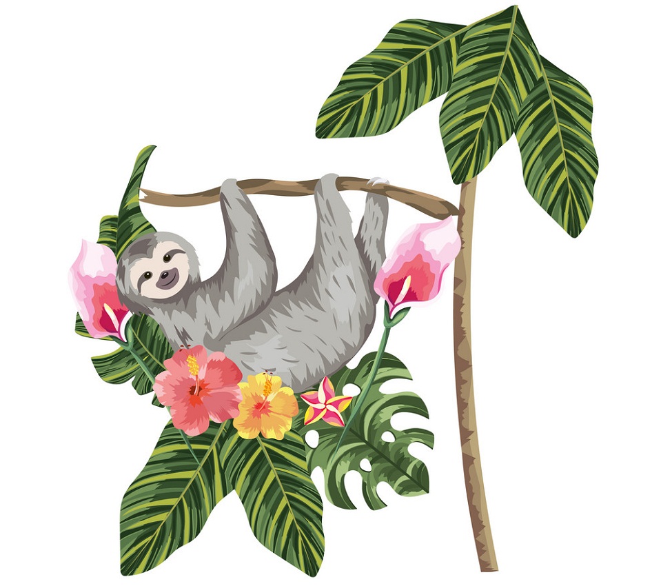 木の枝にぶら下がっている野生のナマケモノのイラスト イラスト