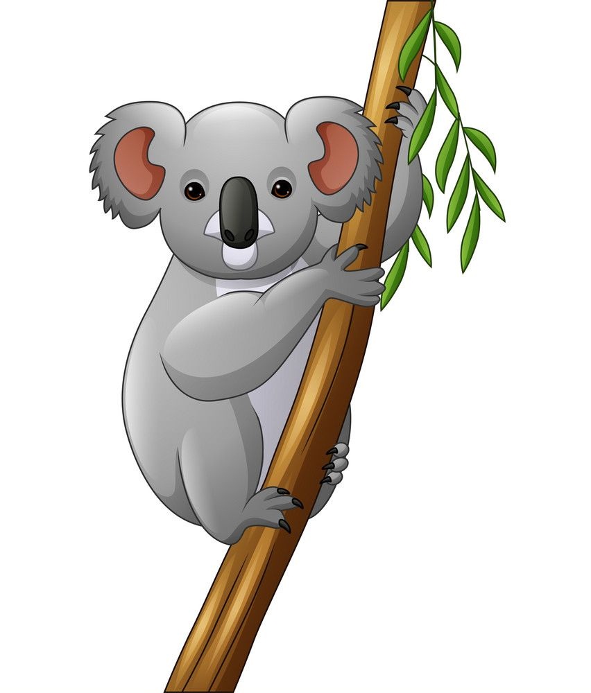 木の枝に乗っているコアラのイラスト